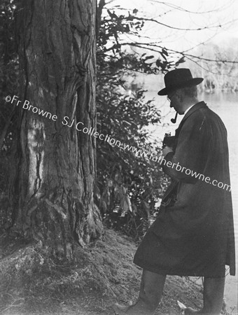 PHOTOGRAPHER TREE-CREEPER ROOSTS